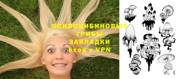 кристаллы Протвино